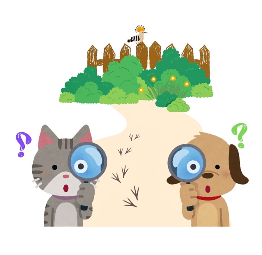 Oplus. TALLERES FAMILIARES