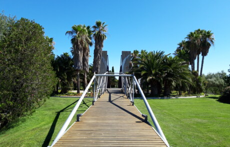 Juan Carlos I, vista parque